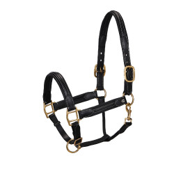 Cabezada de couro superior Equestro