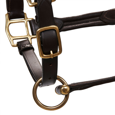 Cabezada de couro superior Equestro Castanho escuro Cabezada de couro superior Equestro Castanho escuro