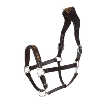 Caveção de couro com proteção ergonômica em vitelo Acavallo Castanho escuro Caveção de couro com proteção ergonômica em vitelo Acavallo Castanho escuro