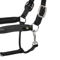 Caveção de couro com inserções de nylon trançado Equestro Preto / cinza Cinzento Caveção de couro com inserções de nylon trançado Equestro Preto / cinza Cinzento