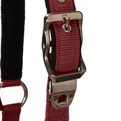 Caveção e guia Equestro Bordéus Bord&amp;ocirc;