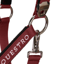 Caveção e guia Equestro Bordéus Bord&amp;ocirc;