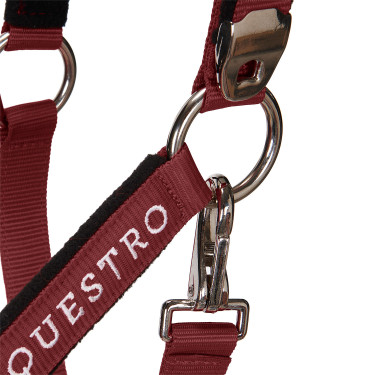 Caveção e guia Equestro Bordéus Bord&amp;ocirc;