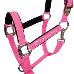 Caveção e guia Equestro Fúcsia Rosa