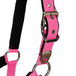 Caveção e guia Equestro Fúcsia Rosa