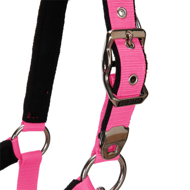 Caveção e guia Equestro Fúcsia Rosa
