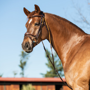 Chambon em couro de vitelo italiano e nylon Acavallo Castanho escuro