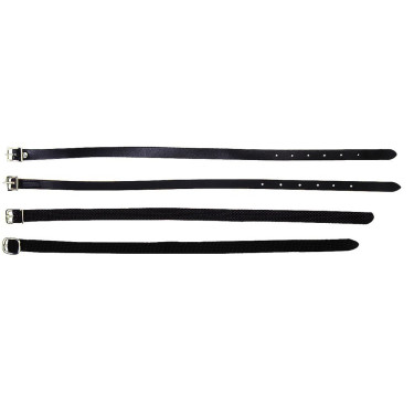 Correias de esporas Riding World em couro Correias de esporas Riding World em couro