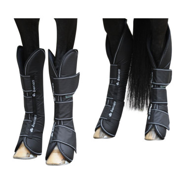 Guinchos de transporte Bucas Freedom Preto