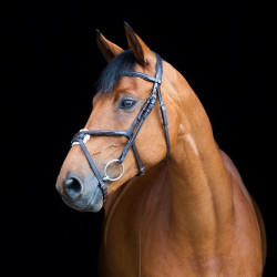 Cabeçada com noseband cruzado Prescott Horze Cabeçada com noseband cruzado Prescott Horze