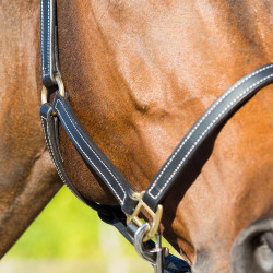 Cabresto de couro Fremont Horze Cabresto de couro Fremont Horze