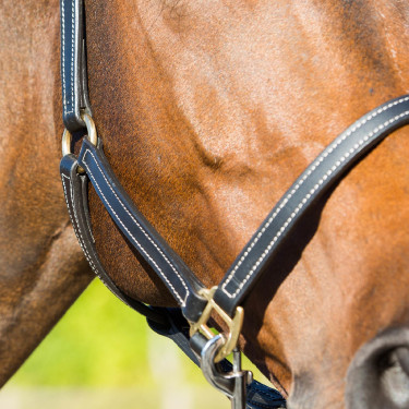 Cabresto de couro Fremont Horze Cabresto de couro Fremont Horze