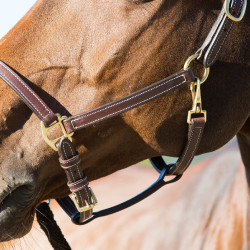 Cabresto de couro Fremont Horze Cabresto de couro Fremont Horze