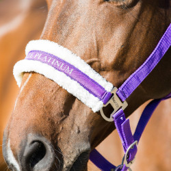 Cabresto Howard Crescendo Horze Cabresto Howard Crescendo Horze