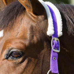 Cabresto Howard Crescendo Horze Cabresto Howard Crescendo Horze