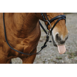 Rédias de borracha Norton Training PVC Rédias de borracha Norton Training PVC