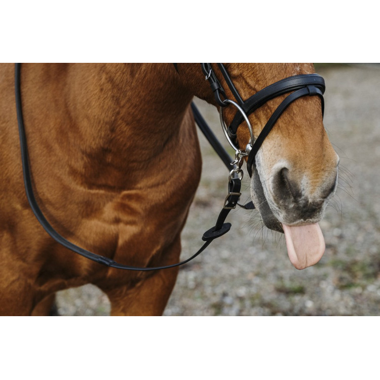 Rédias de borracha Norton Training PVC Rédias de borracha Norton Training PVC