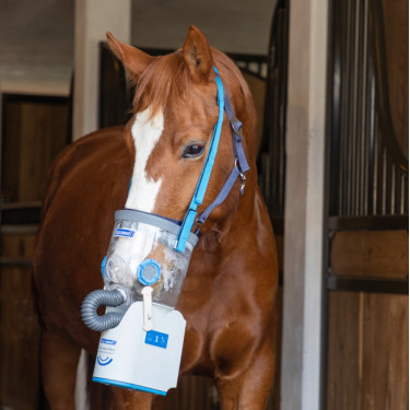 Inalador ultrassônico sem fio para cavalos AirOne Flex Hippomed Inalador ultrassônico sem fio para cavalos AirOne Flex Hippomed