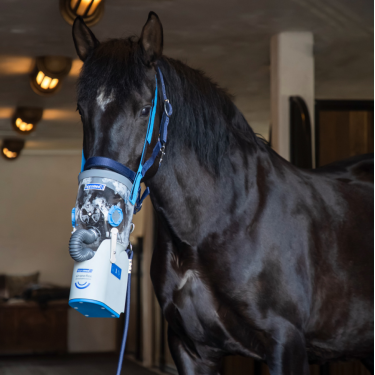 Inalador ultrassônico sem fio para cavalos AirOne Flex Hippomed Inalador ultrassônico sem fio para cavalos AirOne Flex Hippomed