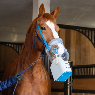 Inalador ultrassônico sem fio para cavalos AirOne Flex Hippomed Inalador ultrassônico sem fio para cavalos AirOne Flex Hippomed
