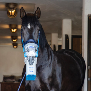 Inalador ultrassônico sem fio para cavalos AirOne Flex Hippomed Inalador ultrassônico sem fio para cavalos AirOne Flex Hippomed