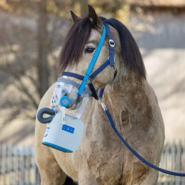Inalador ultrassônico sem fio para cavalos AirOne Flex Hippomed Inalador ultrassônico sem fio para cavalos AirOne Flex Hippomed