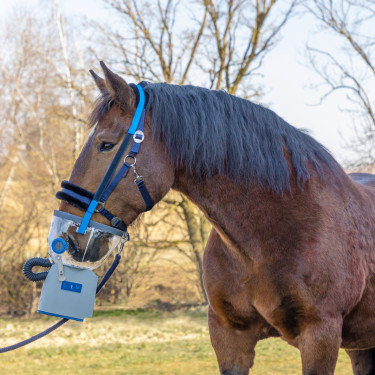 Inalador ultrassônico sem fio para cavalos AirOne Flex Hippomed Inalador ultrassônico sem fio para cavalos AirOne Flex Hippomed