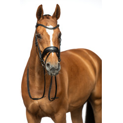 Bridon Ira HKM Preto Bridon Ira HKM Preto