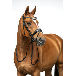 Bridon Ira HKM Preto Bridon Ira HKM Preto