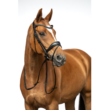 Bridon Ira HKM Preto Bridon Ira HKM Preto