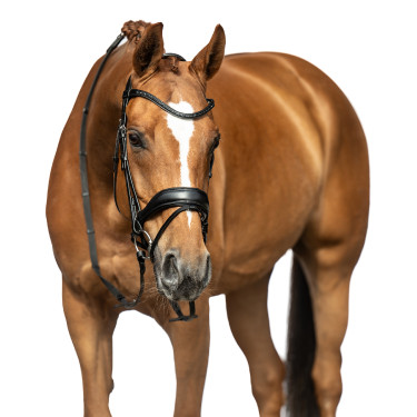 Bridon Ira HKM Preto Bridon Ira HKM Preto