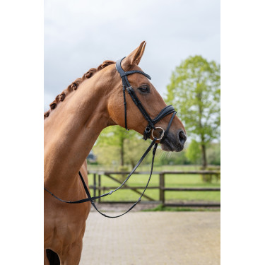 Bridon Ira HKM Preto Bridon Ira HKM Preto