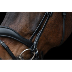 Bridon Ira HKM Preto Bridon Ira HKM Preto