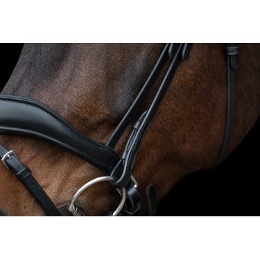 Bridon Ira HKM Preto Bridon Ira HKM Preto