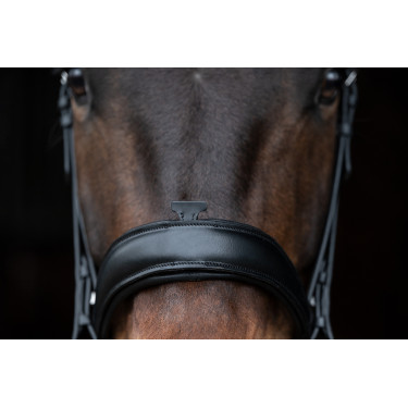 Bridon Ira HKM Preto Bridon Ira HKM Preto