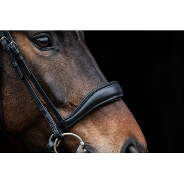 Bridon Ira HKM Preto Bridon Ira HKM Preto