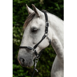 Cabresto Carlotta HKM Preto Cabresto Carlotta HKM Preto