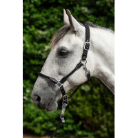 Cabresto Carlotta HKM Preto