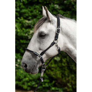 Cabresto Carlotta HKM Preto Cabresto Carlotta HKM Preto