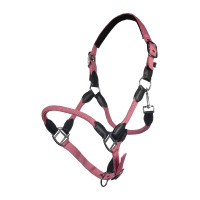 Cabresto Carlotta HKM Rosa