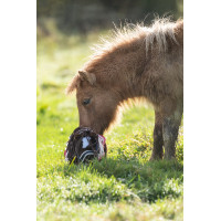 Conjunto Star Cuddle Pony HKM Rosa estrelas