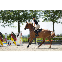 Tapete Elisa HKM Preto