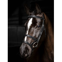 Bridão duplo com focinheira dupla LeMieux Kudos Preto / prata