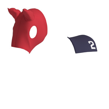 Tapis et masque en lycra LeMieux pour jouet Mini Poney