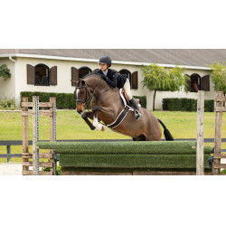 Tapete Hunter LeMieux Merino+ Branco / branco