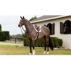 Tapete Hunter LeMieux Merino+ Branco / branco