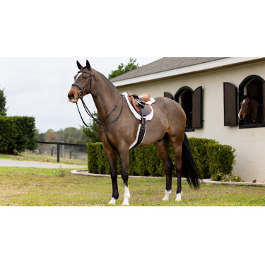 Tapete Hunter LeMieux Merino+ Branco / branco Tapete Hunter LeMieux Merino+ Branco / branco