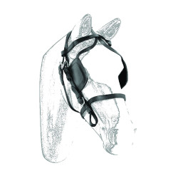 Bridão de Charrete em Couro Umbria Equitazione