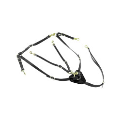 Peitoral de Biothane com Martingale Lakota