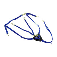Peitoral de Biothane com Martingale Lakota Azul royal